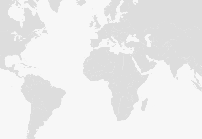 Representation services for international companies